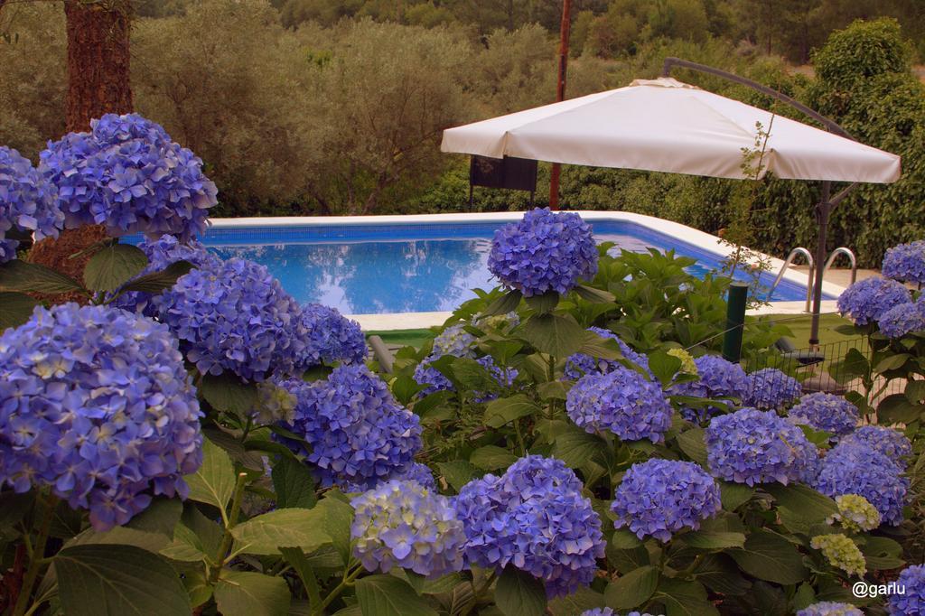 Casa Rural El Pilar Acebo Εξωτερικό φωτογραφία