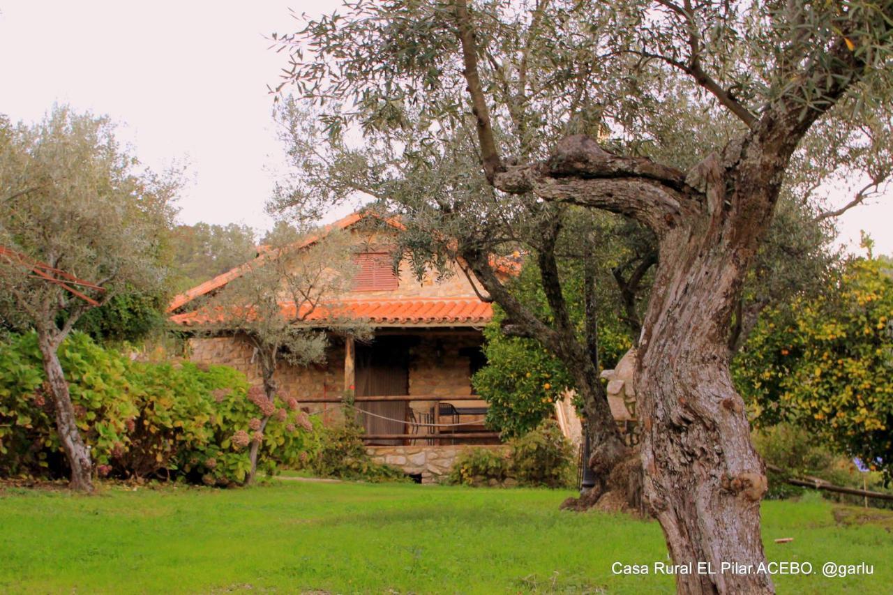 Casa Rural El Pilar Acebo Εξωτερικό φωτογραφία