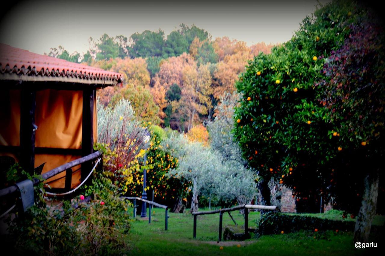 Casa Rural El Pilar Acebo Εξωτερικό φωτογραφία