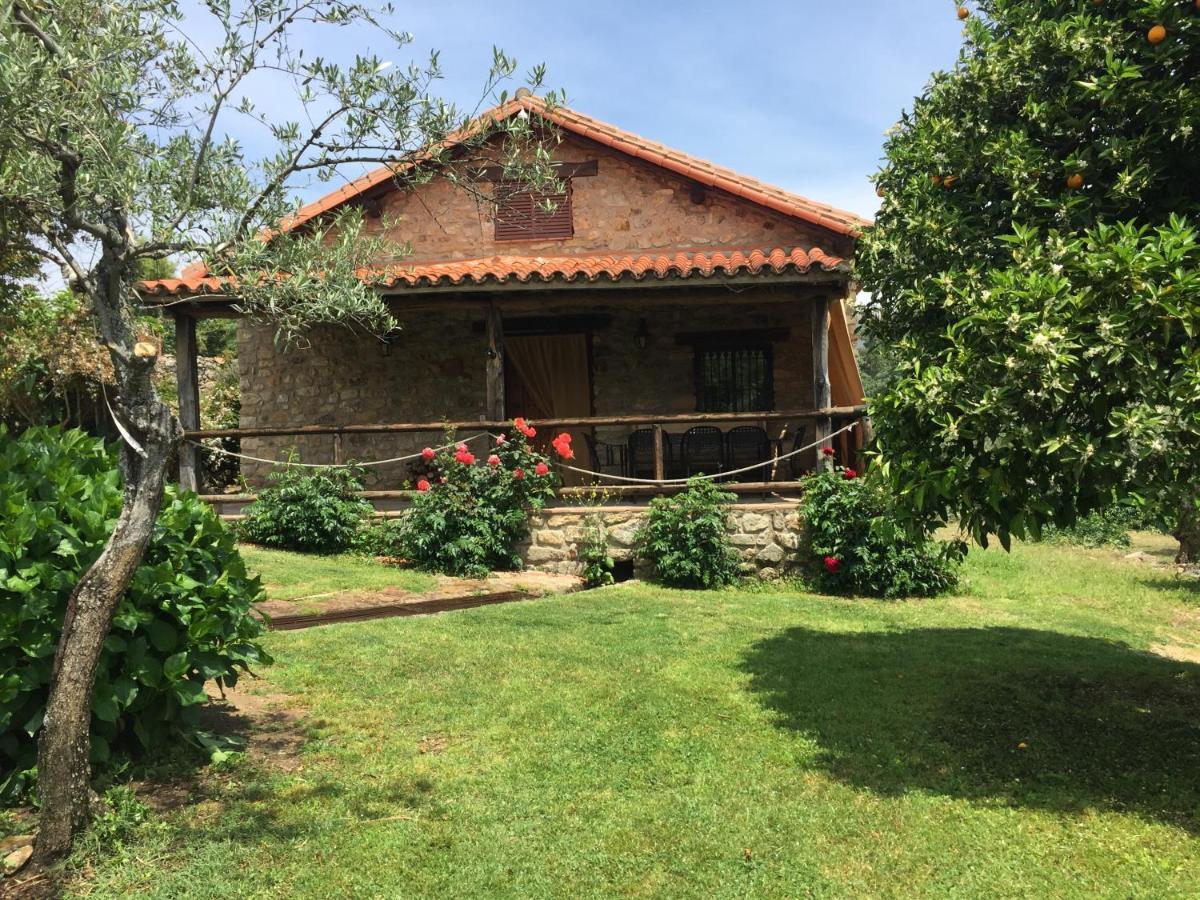 Casa Rural El Pilar Acebo Εξωτερικό φωτογραφία